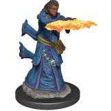 DND Premium Human Wizard Female Prepainted